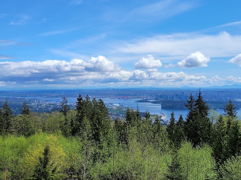 Cypress Lookout