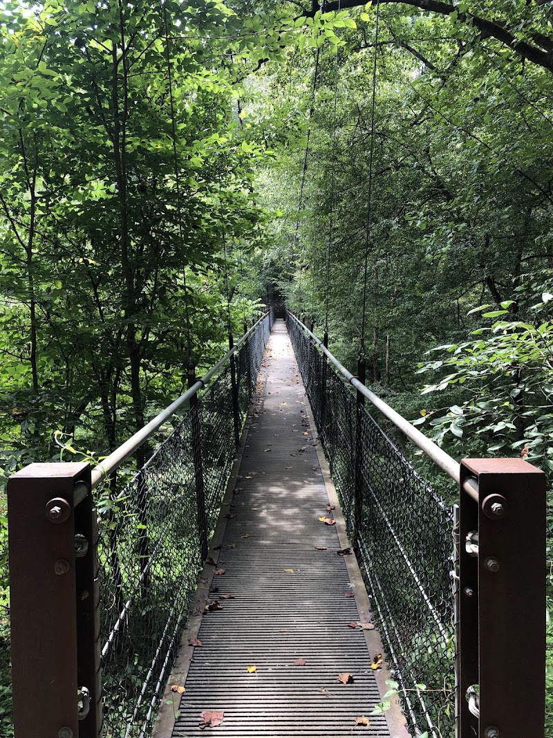 Lullwater Preserve