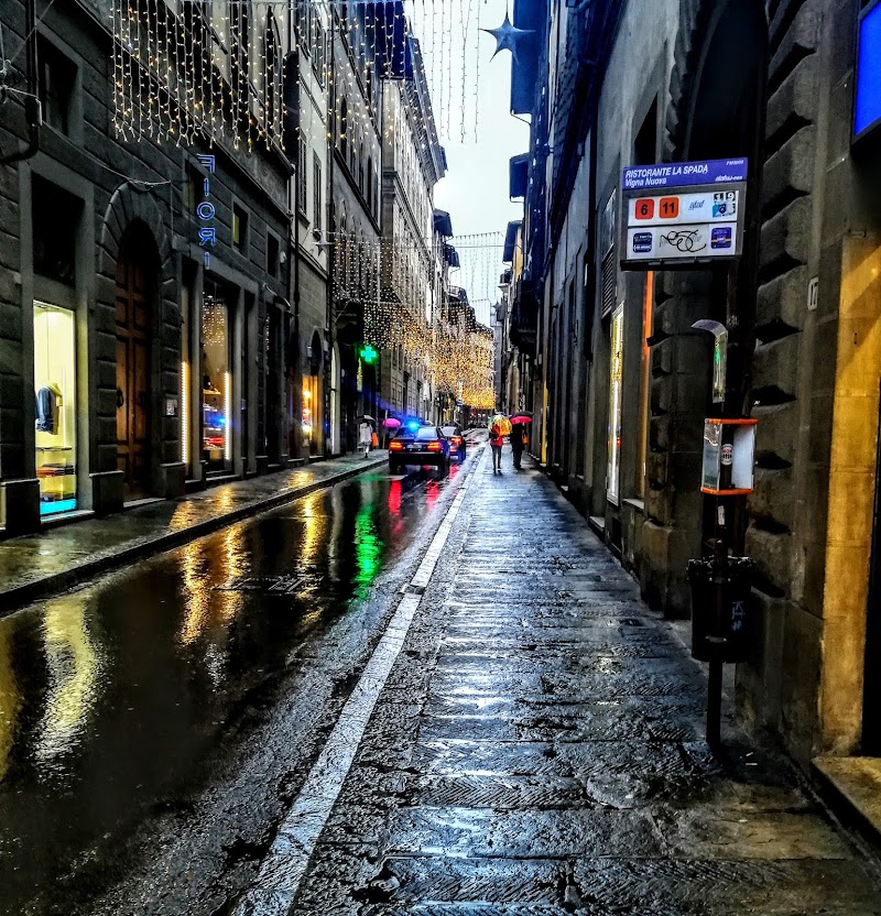 Via della Vigna Nuova