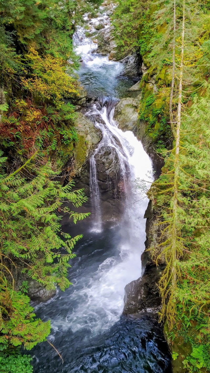 Lynn Canyon Park