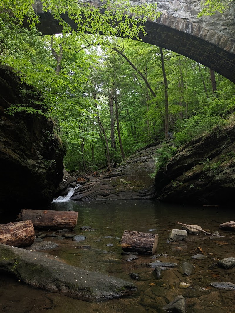Wissahickon Valley Park
