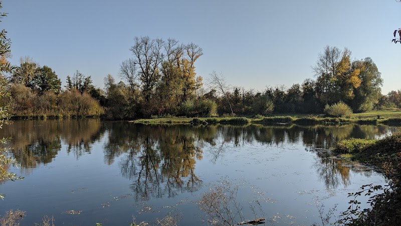 Réserve Naturelle de l'Île-du-Rohrschollen