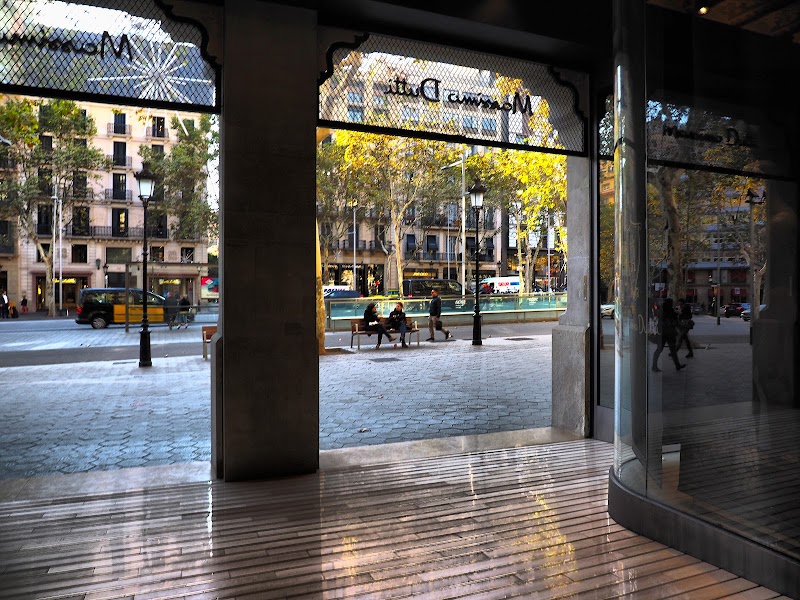 Massimo Dutti