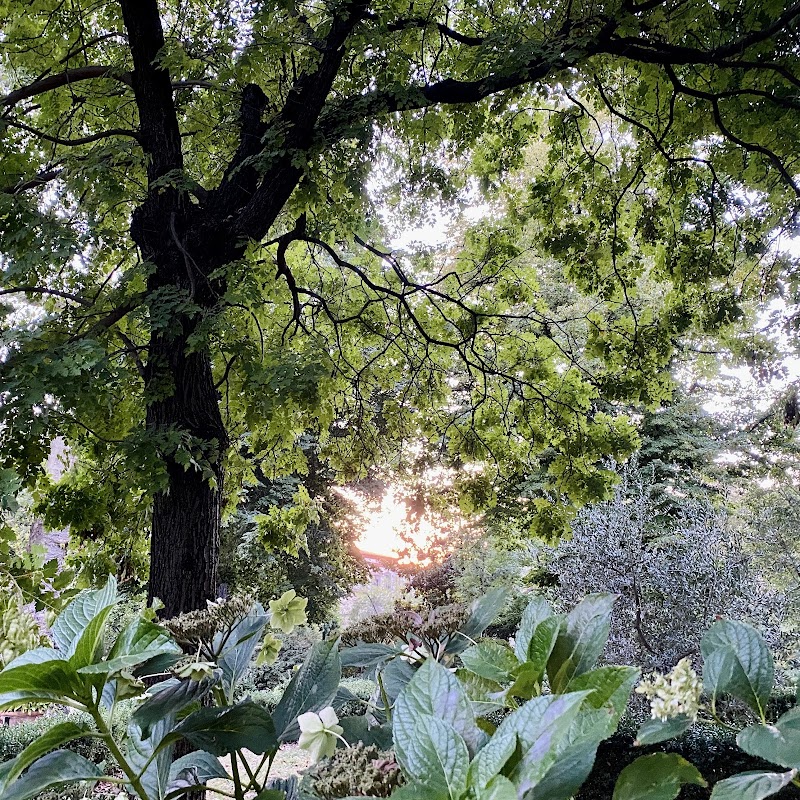 Orto Botanico Giardino dei Semplici - Università di Firenze
